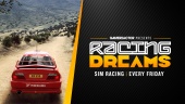 賽車夢想：Dirt Rally 2.0/希臘車禍